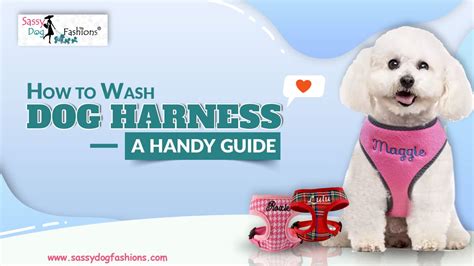 how to wash pet leashes with fabric plastic and metal|how to wash dog harness.